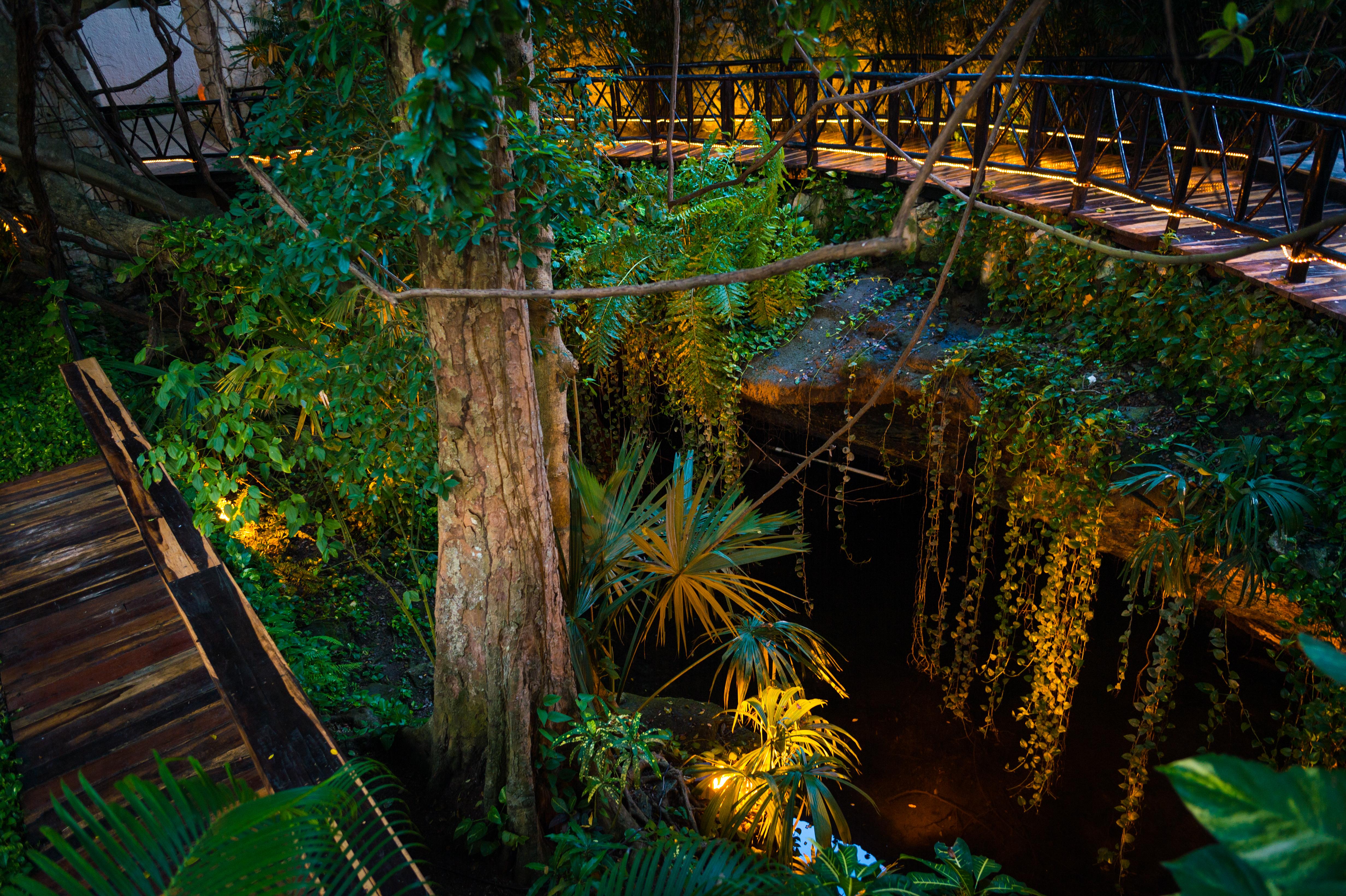 The Reef Playacar Beach Resort & Spa Playa del Carmen Luaran gambar